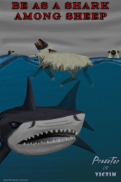 Be as a shark among sheep