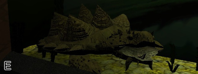 turtleblog3